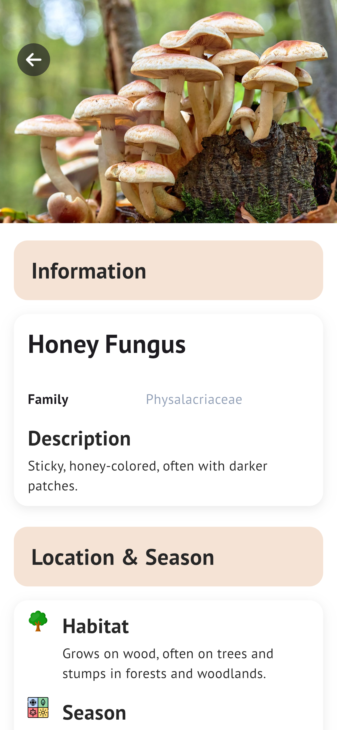 Viewing mushroom species details