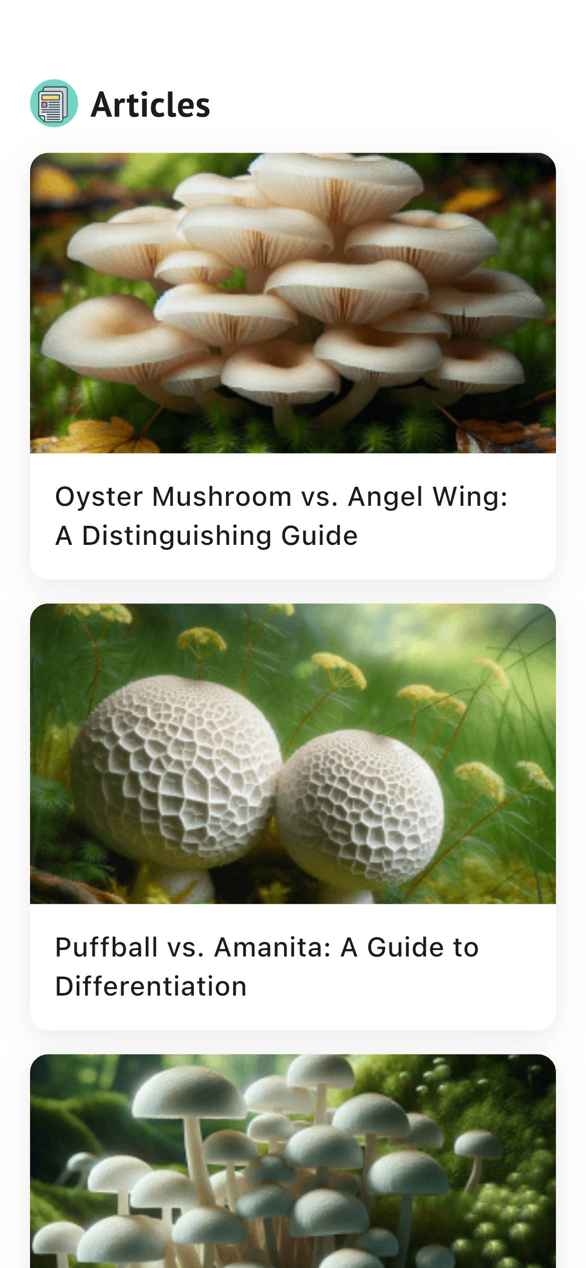 Exploring mushroom articles